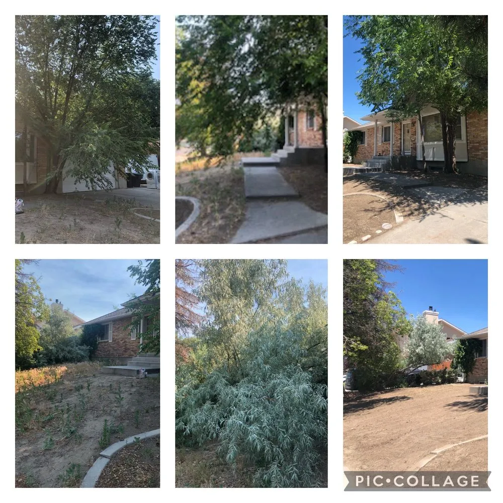 Top-rated landscaping services near you across Bluffdale, UT - Better Bros Tree & Yard Care