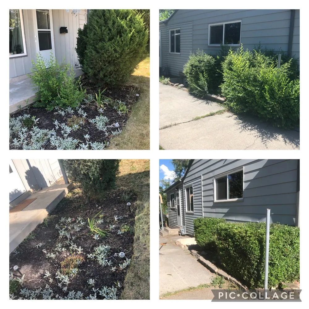 Reliable outdoor landscaping experts serving Bluffdale, UT - Better Bros Tree & Yard Care