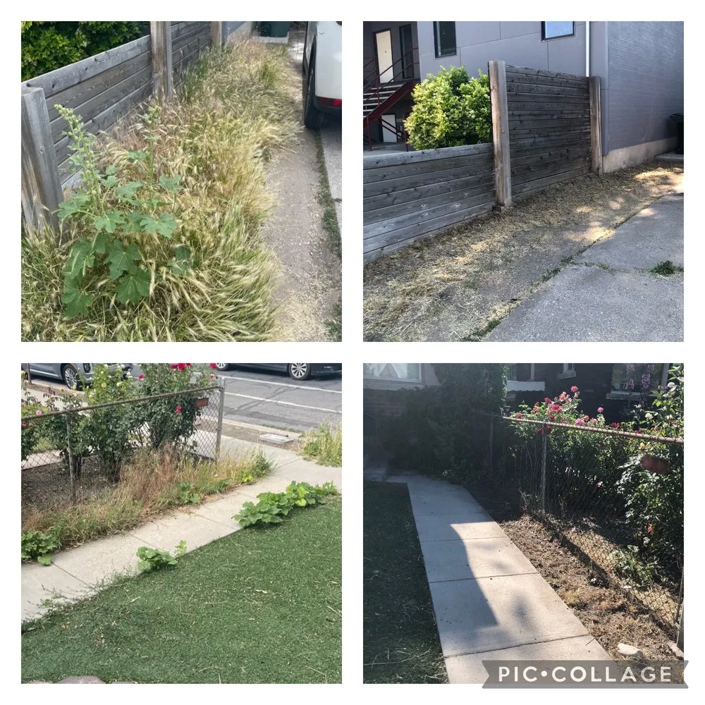 Reliable landscape installation experts serving Bluffdale, UT - Better Bros Tree & Yard Care