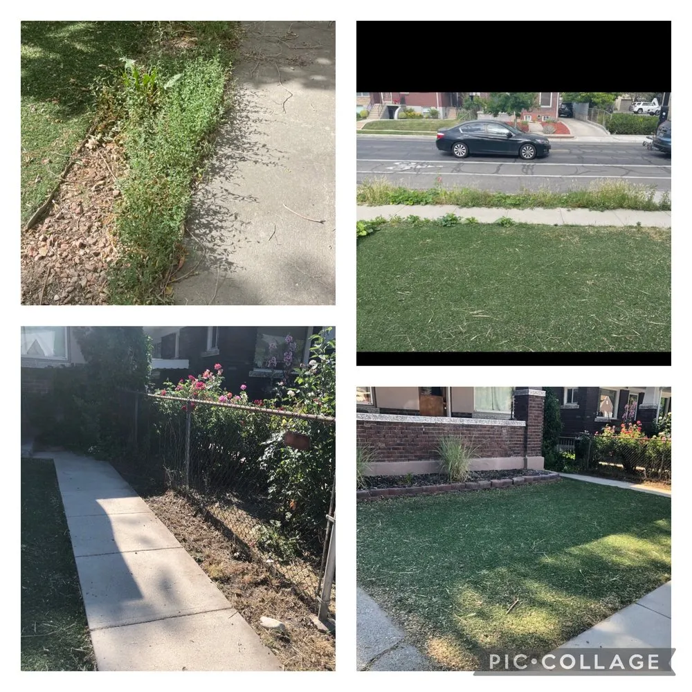 Affordable landscape design in Bluffdale, UT - Better Bros Tree & Yard Care