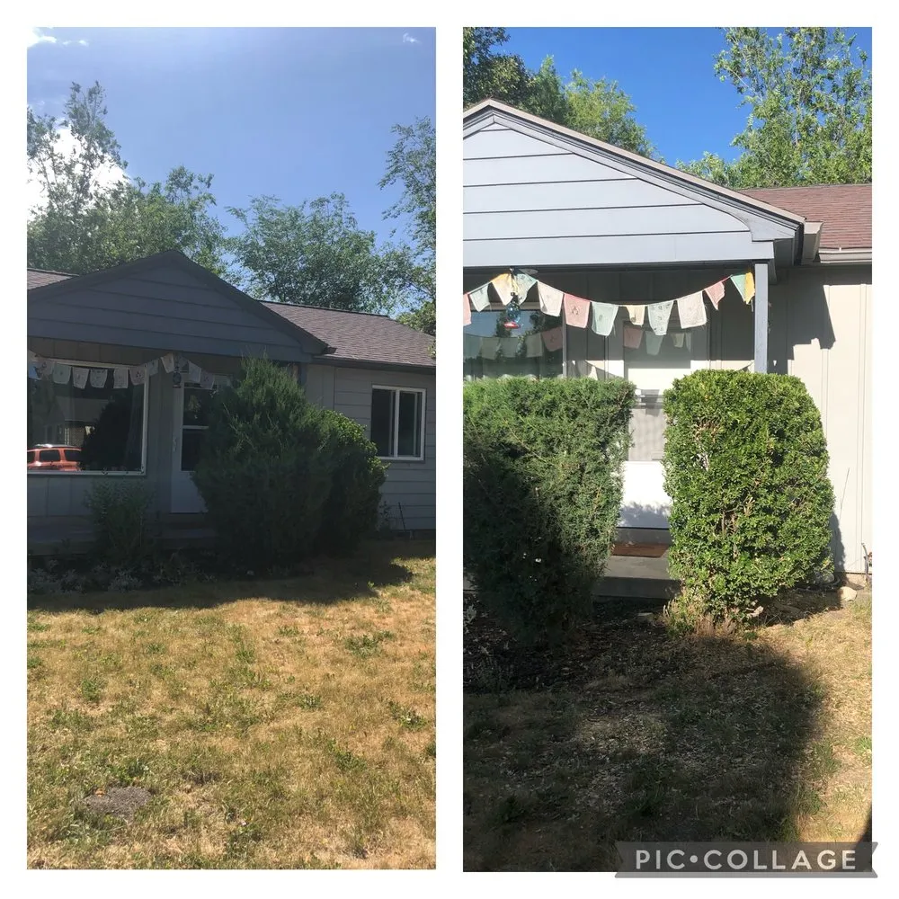 Affordable lawn care service for residential properties in Bluffdale, UT by Better Bros Tree & Yard Care