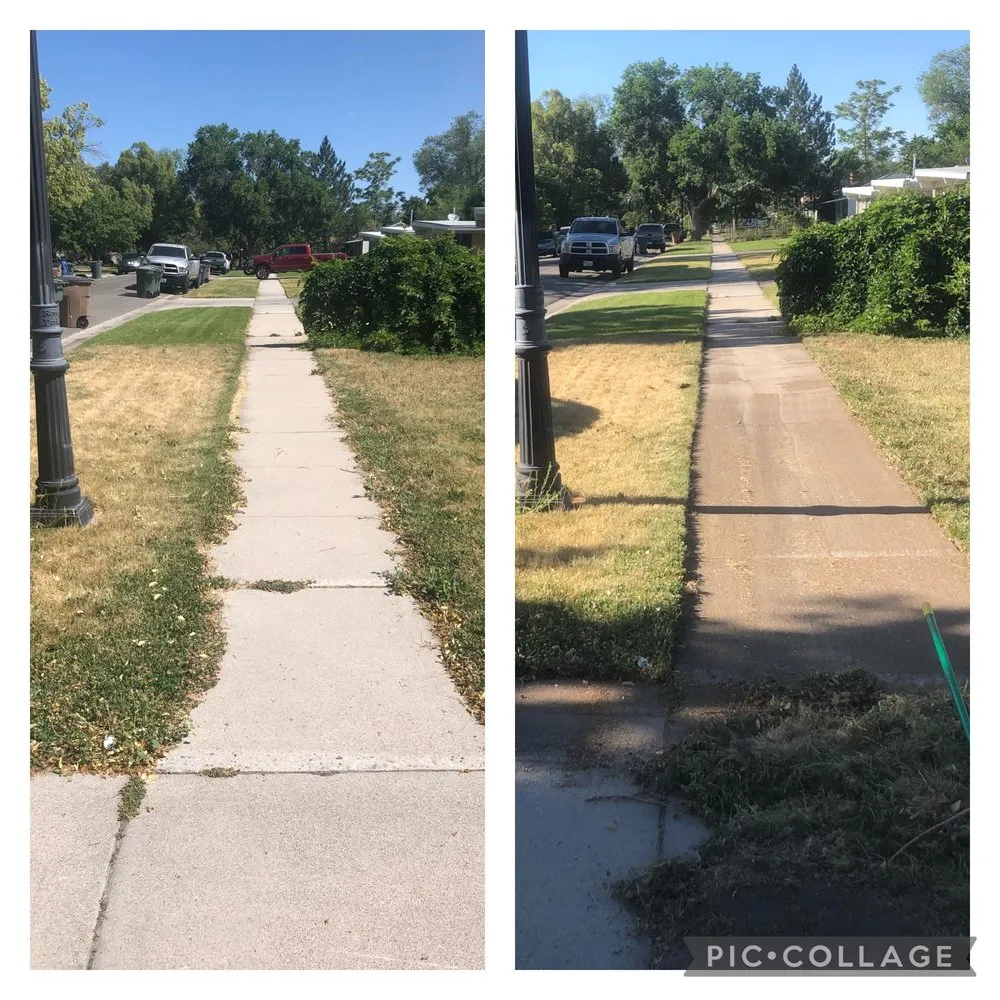 Expert yard maintenance for homes in Bluffdale, UT by Better Bros Tree & Yard Care