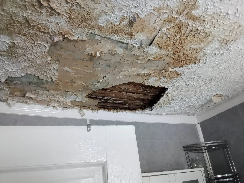 Reliable yard maintenance for outdoor upgrades in Girard, OH by Better Built Home And Property Maintenance