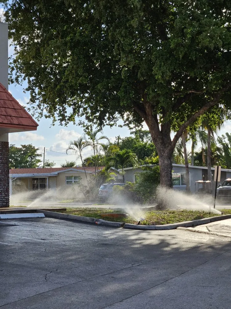 Trusted yard cleanup service experts serving Palm Springs, FL - Better call Julian