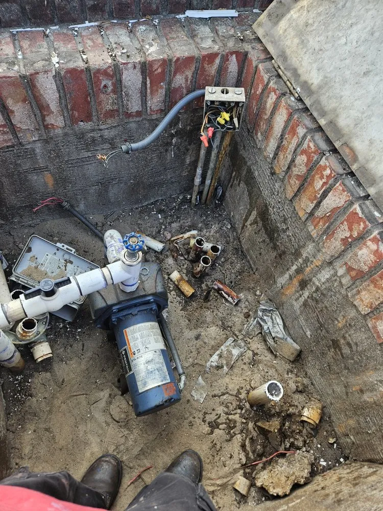 Trusted landscaping services in Palm Springs, FL - Better call Julian