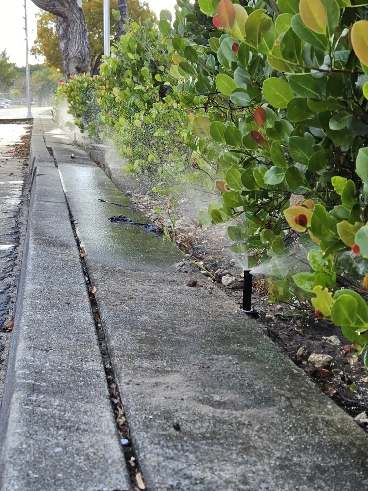 Affordable yard maintenance experts serving Palm Springs, FL - Better call Julian