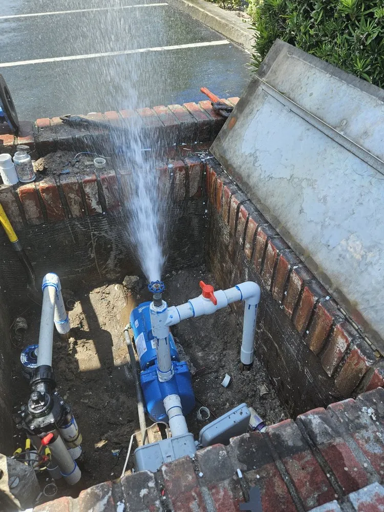 Professional landscaping services experts serving Palm Springs, FL - Better call Julian