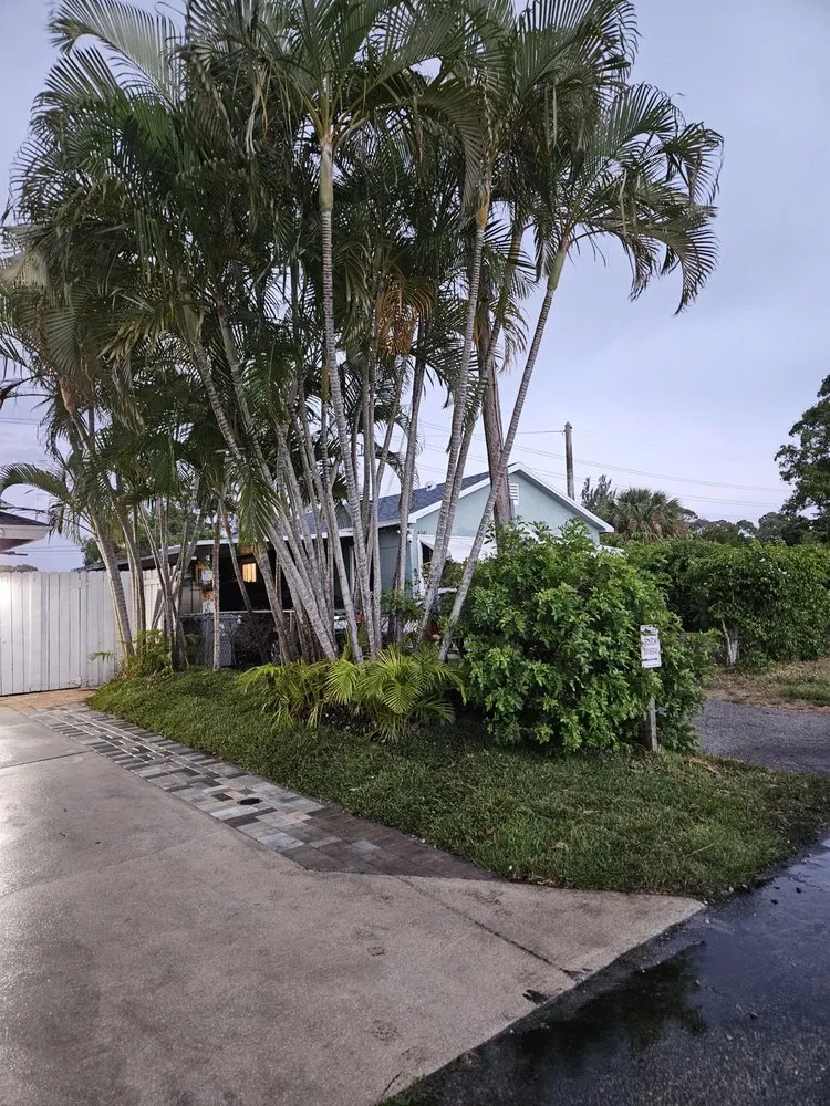 Custom lawn care service for beautiful yards in Palm Springs, FL by Better call Julian