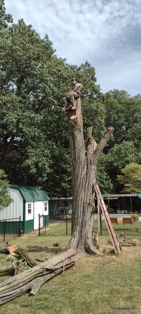 Professional yard cleanup service for outdoor upgrades in Poland, IN by Better Call Saw