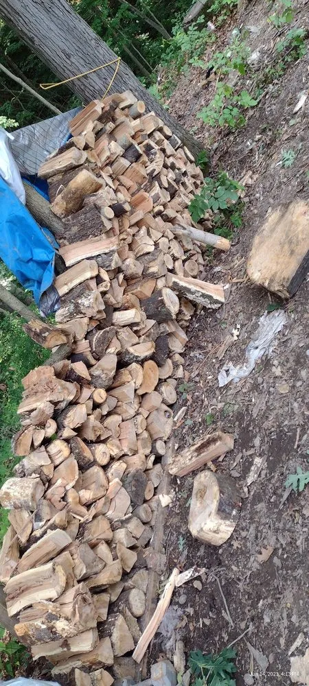 Professional residential landscaping in Poland, IN by Better Call Saw