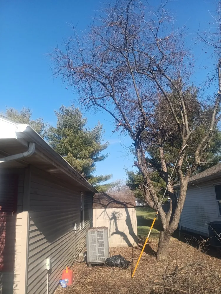 Affordable lawn care service experts serving Poland, IN - Better Call Saw