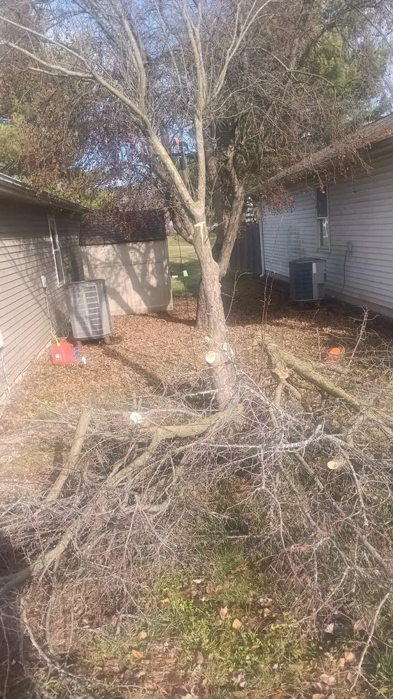 Top-rated landscape installation for homes across Poland, IN - Better Call Saw