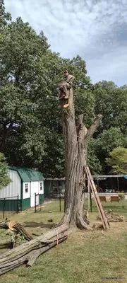 Better Call Saw