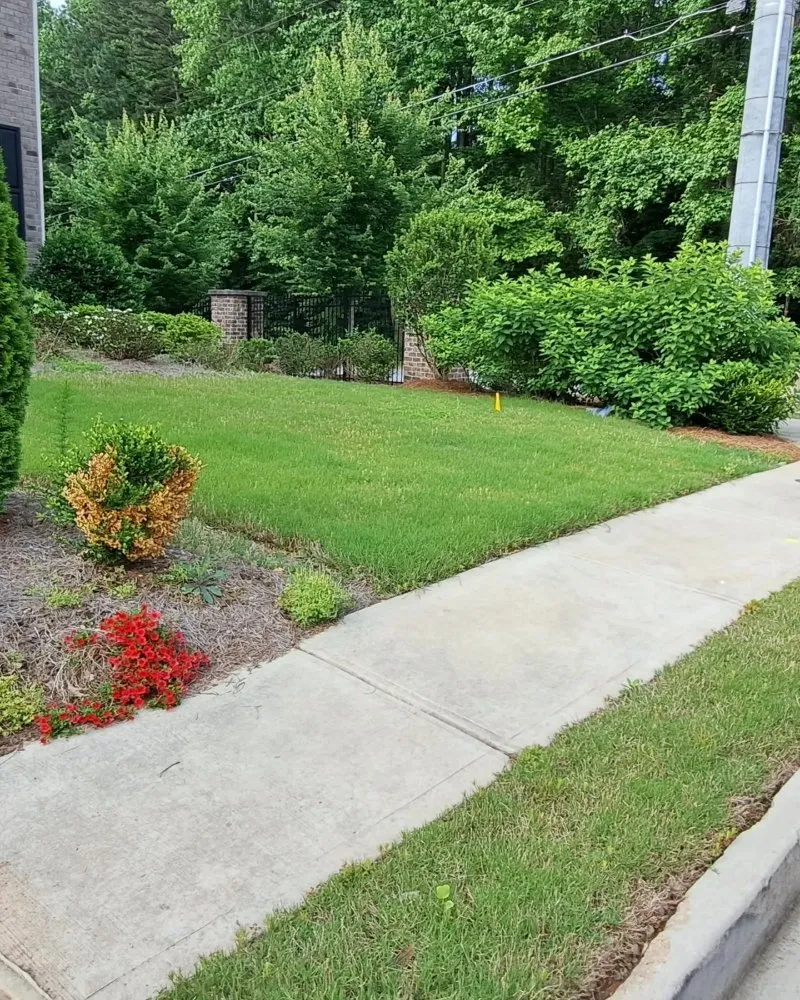 Reliable landscape installation in Snellville, GA by Better Care Landscaping
