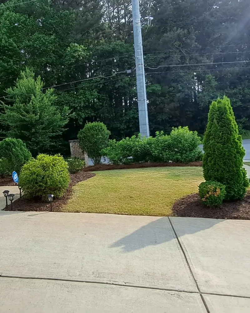 Custom lawn mowing service in Snellville, GA - Better Care Landscaping