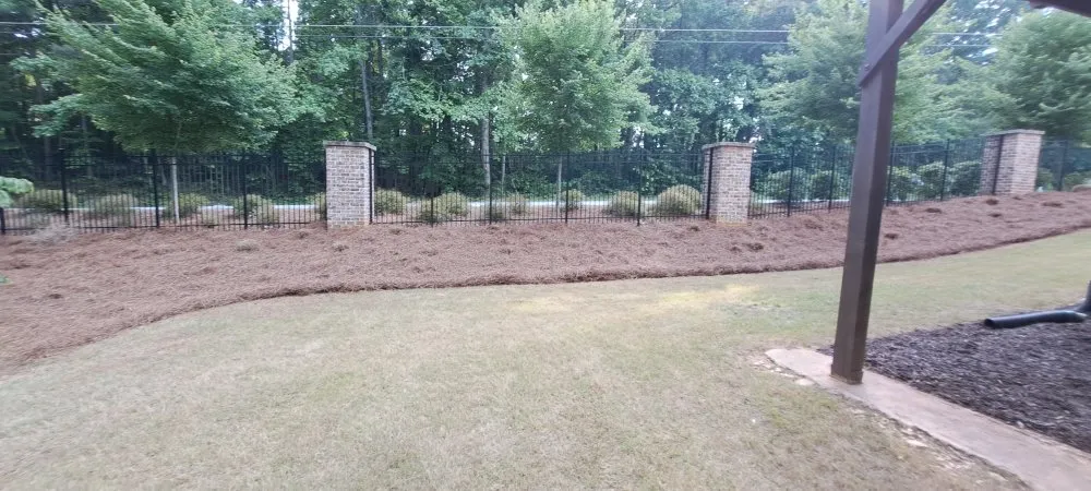 Expert lawn care service in Snellville, GA by Better Care Landscaping