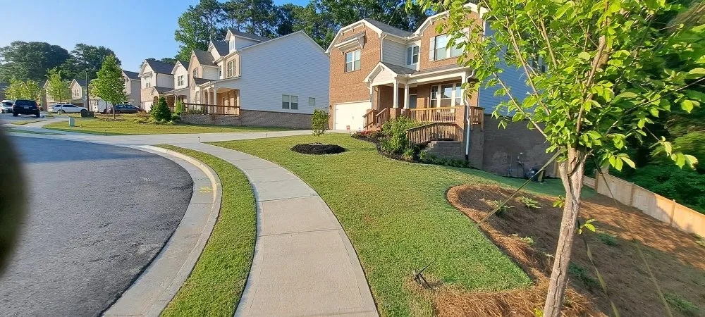 Trusted yard cleanup service experts serving Snellville, GA - Better Care Landscaping