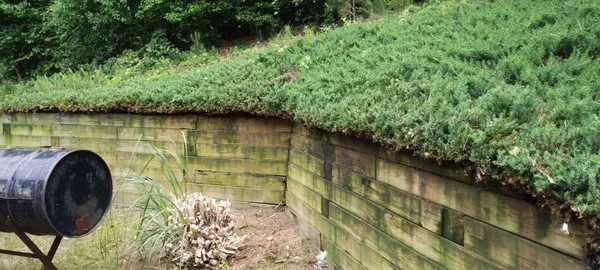 Better Care Landscaping