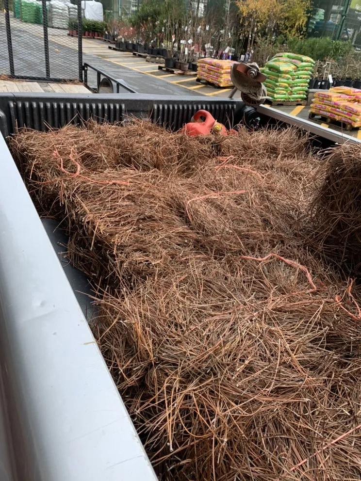 Affordable outdoor landscaping for outdoor upgrades in Bluffton, SC by Better Care Lawn & Landscaping