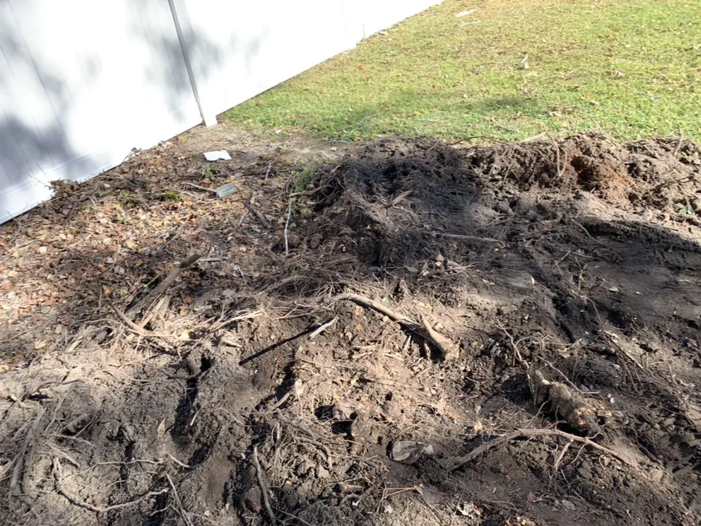 Local yard maintenance experts serving Bluffton, SC - Better Care Lawn & Landscaping