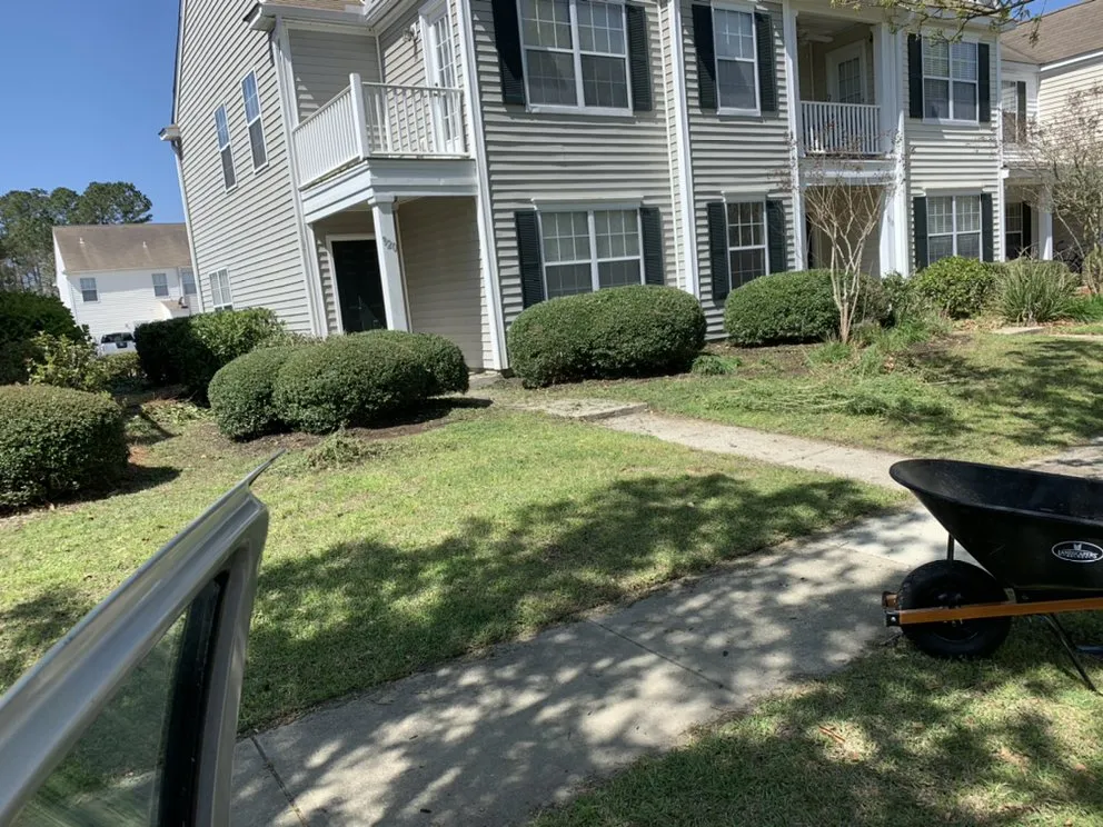 Local yard cleanup service for beautiful yards in Bluffton, SC by Better Care Lawn & Landscaping