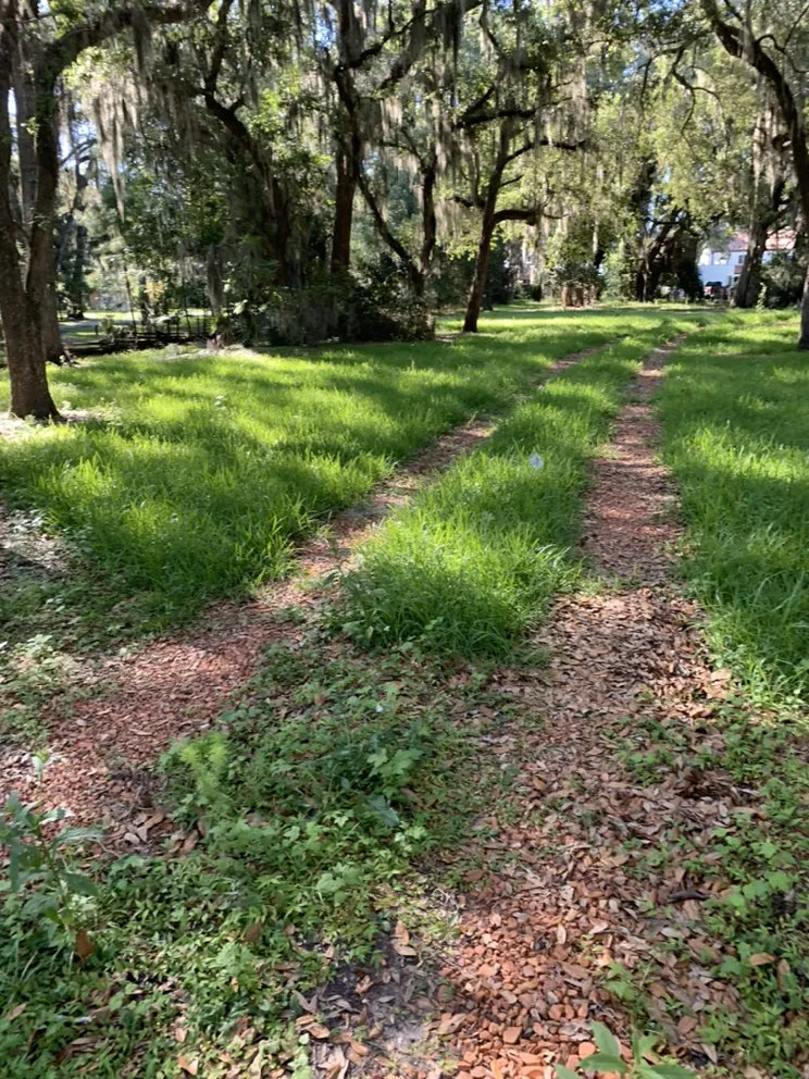 Reliable lawn care service for year-round maintenance across Bluffton, SC - Better Care Lawn & Landscaping