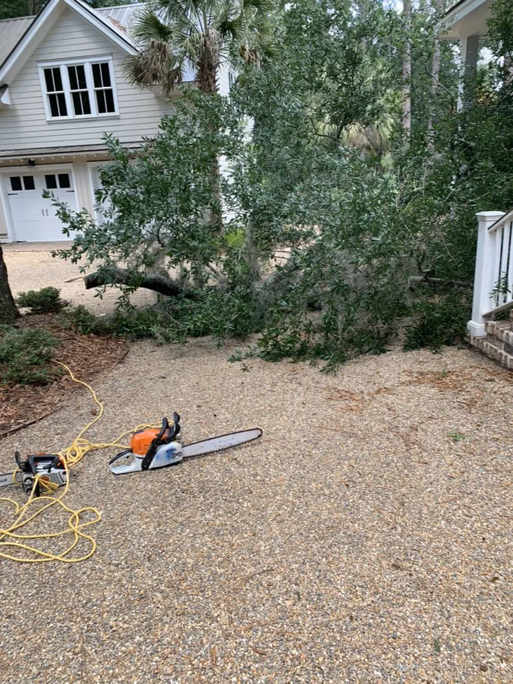 Professional yard maintenance in Bluffton, SC - Better Care Lawn & Landscaping