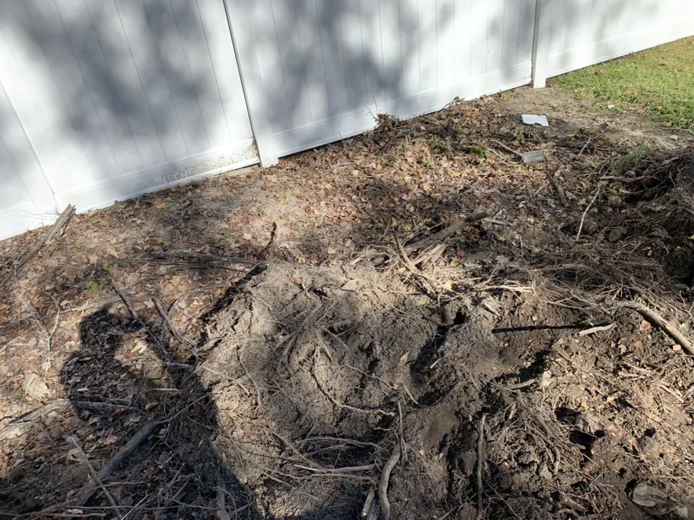 Expert landscaping services in Bluffton, SC - Better Care Lawn & Landscaping