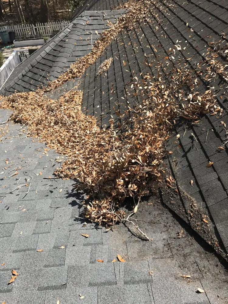 Affordable lawn mowing service in Bluffton, SC by Better Care Lawn & Landscaping