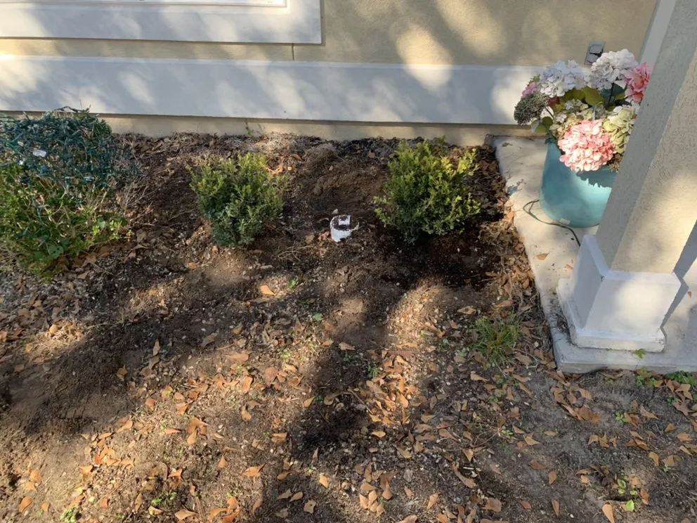 Expert lawn care service experts serving Bluffton, SC - Better Care Lawn & Landscaping