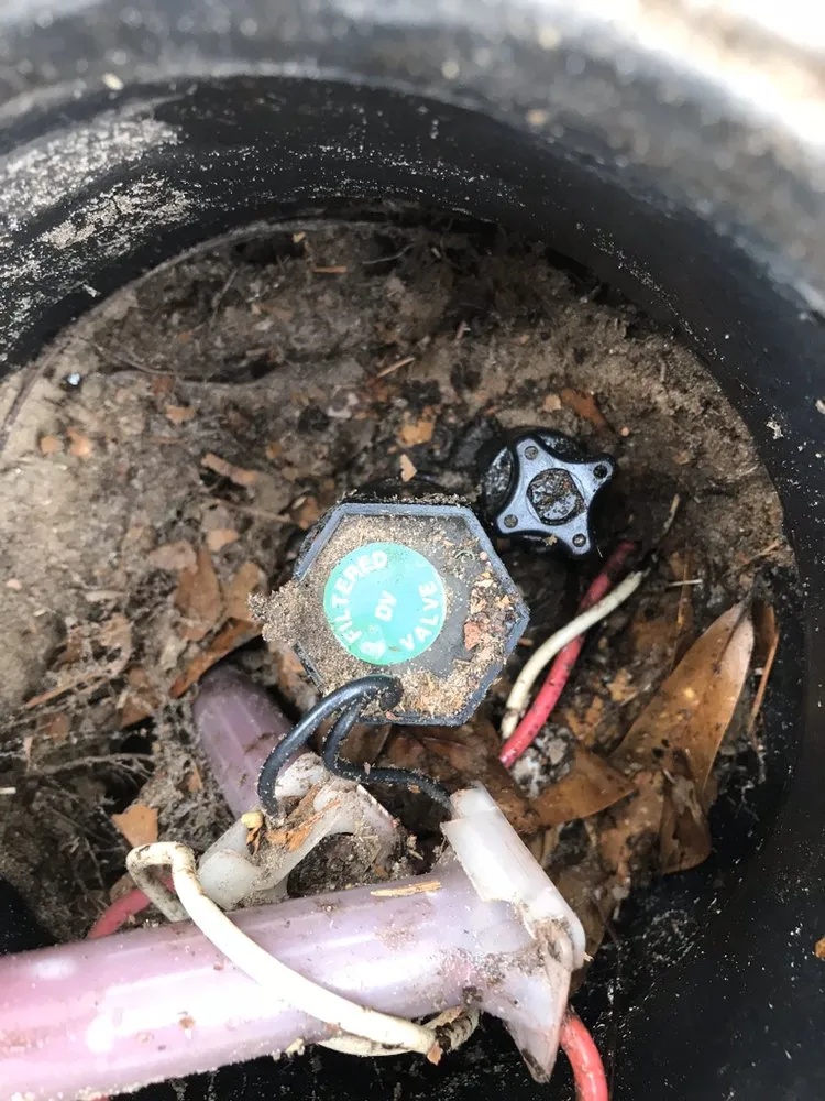 Affordable landscape design in Bluffton, SC by Better Care Lawn & Landscaping