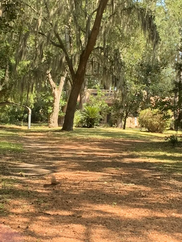 Expert landscaping services experts serving Bluffton, SC - Better Care Lawn & Landscaping