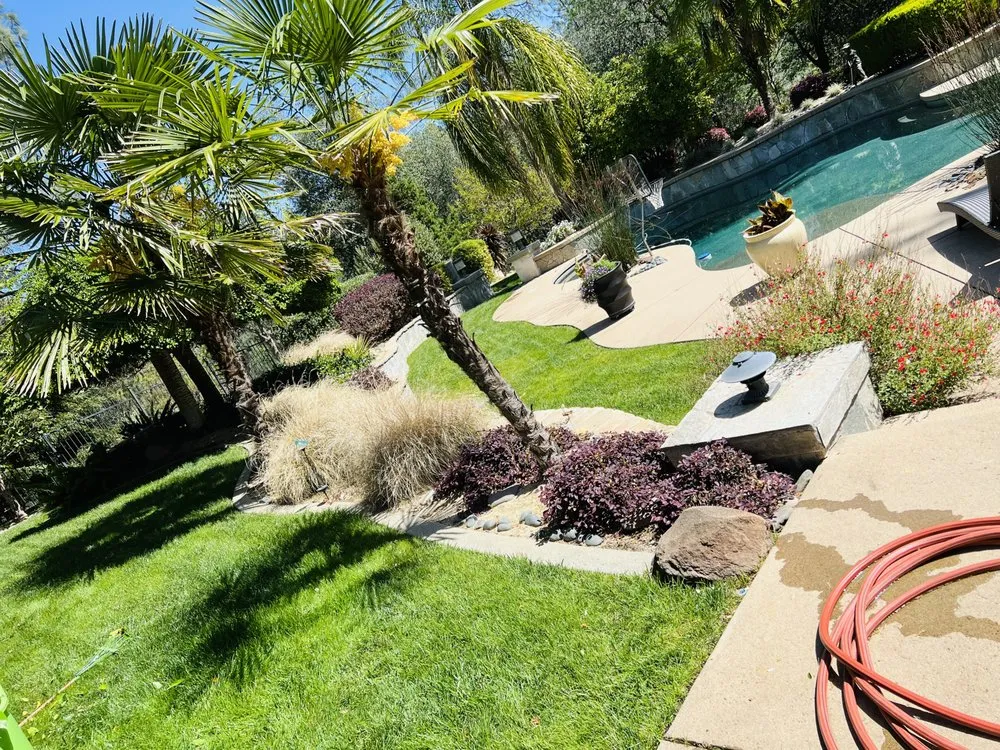 Local landscape design for year-round maintenance across Redding, CA - Better Cuts Landscaping