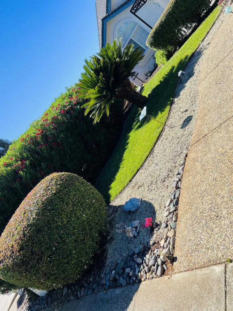 Local garden landscaping experts serving Redding, CA - Better Cuts Landscaping