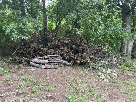 Better Cutz Lawn & Tree Service Logo