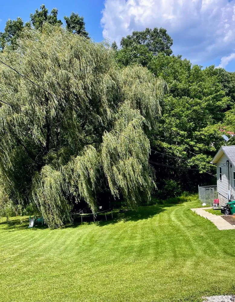 Trusted lawn care service experts serving Morehead, KY - Better Day Mowing