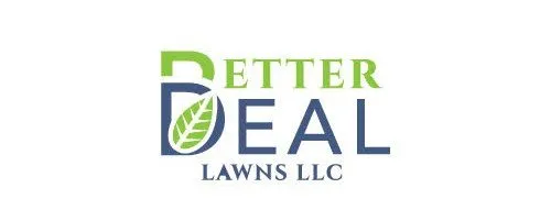 Custom lawn mowing service for homes in Magnolia, TX by Better Deal Lawns