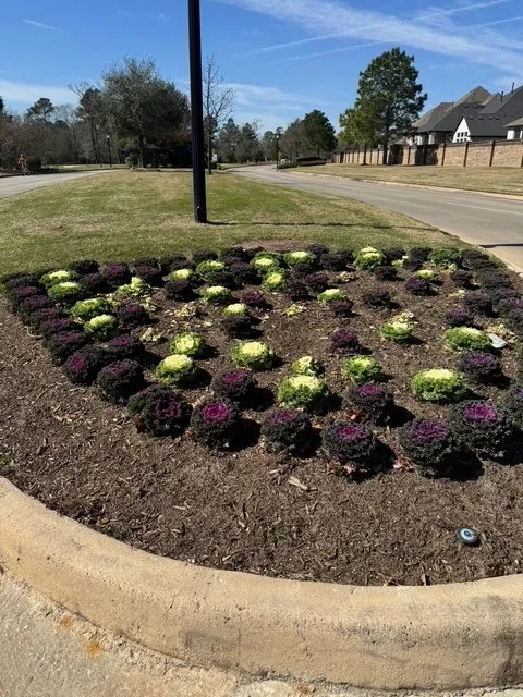 Local landscape installation experts serving Magnolia, TX - Better Deal Lawns