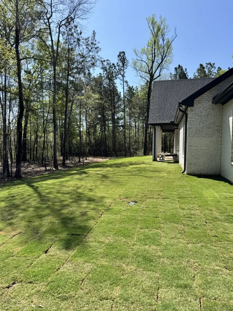 Professional lawn mowing service experts serving Magnolia, TX - Better Deal Lawns