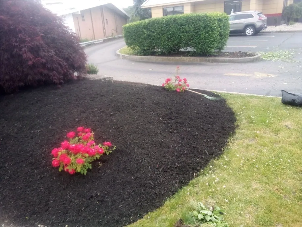 Affordable landscape installation in Willimantic, CT by Better Don't Landscaping