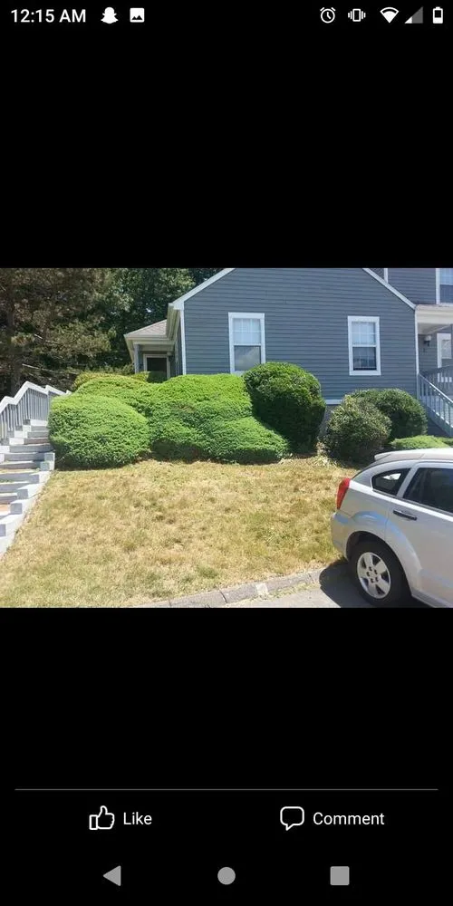 Reliable yard cleanup service for residential properties across Willimantic, CT - Better Don't Landscaping