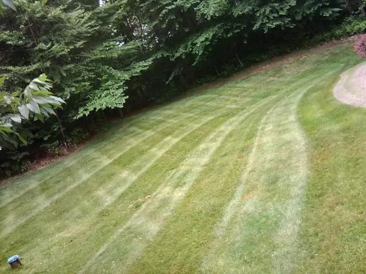 Top-rated residential landscaping experts serving Willimantic, CT - Better Don't Landscaping