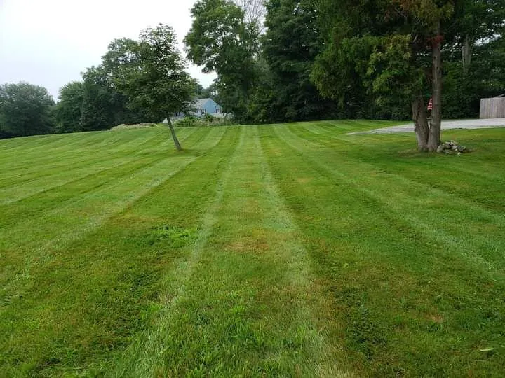 Trusted lawn mowing service experts serving Willimantic, CT - Better Don't Landscaping