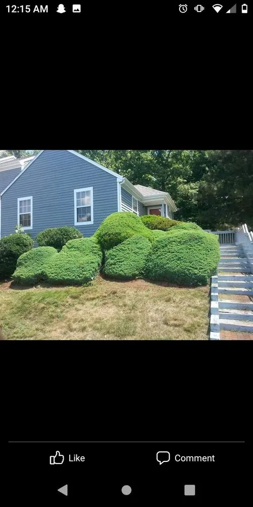 Expert landscape installation for residential properties in Willimantic, CT by Better Don't Landscaping