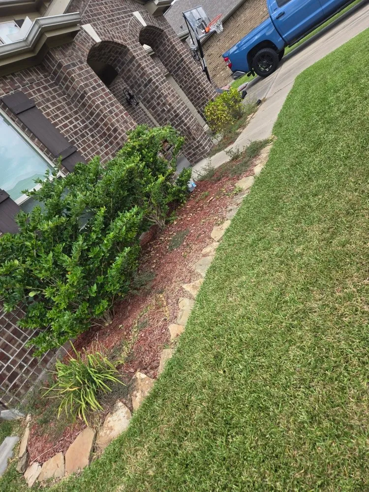 Expert yard maintenance experts serving Houston, TX - Better Essence Lawn Care