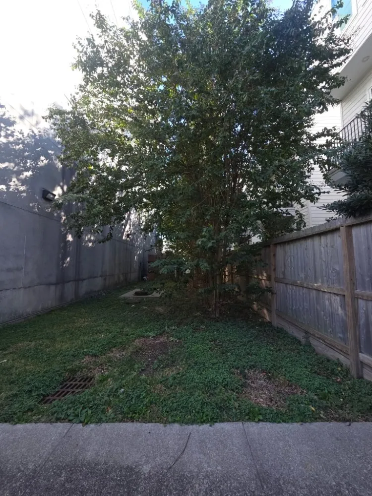 Top-rated residential landscaping in Houston, TX - Better Essence Lawn Care