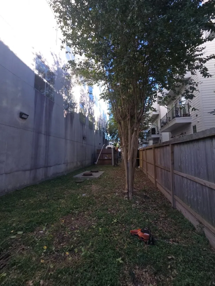 Expert landscape installation in Houston, TX by Better Essence Lawn Care