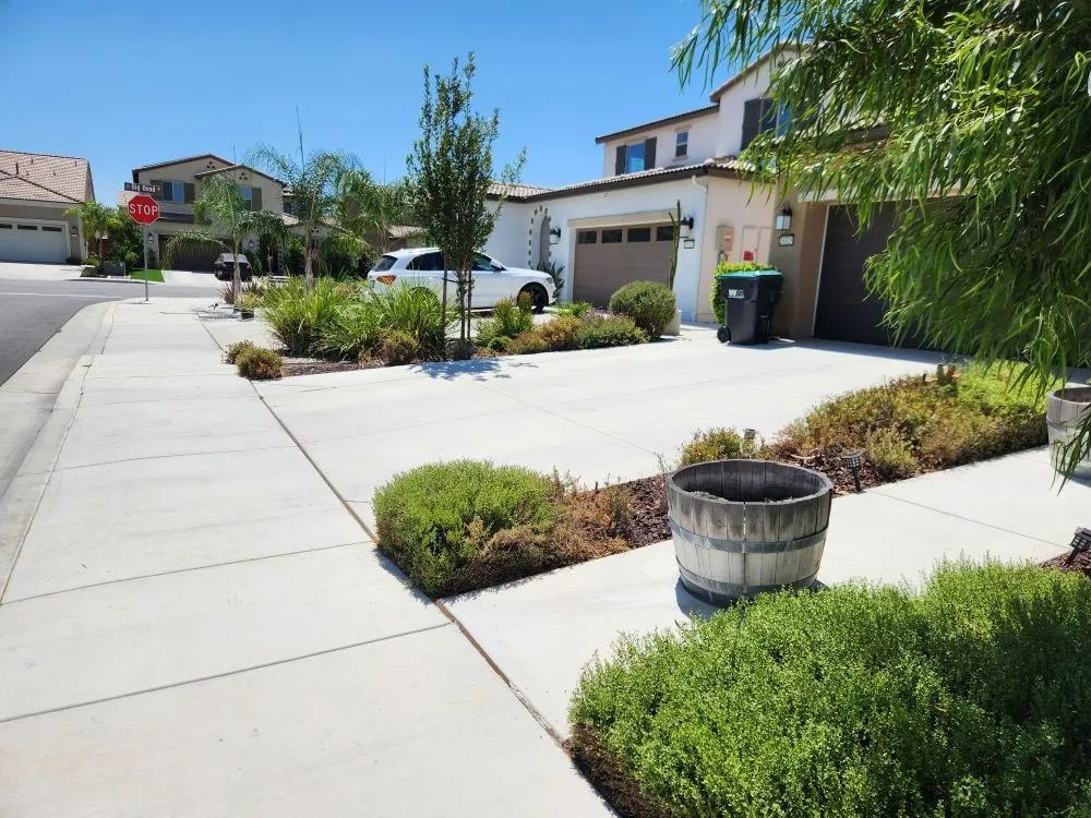 Top-rated yard maintenance in Hemet, CA by Better Every Day Landscaping