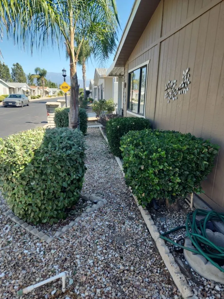 Reliable landscaping services for residential properties in Hemet, CA by Better Every Day Landscaping