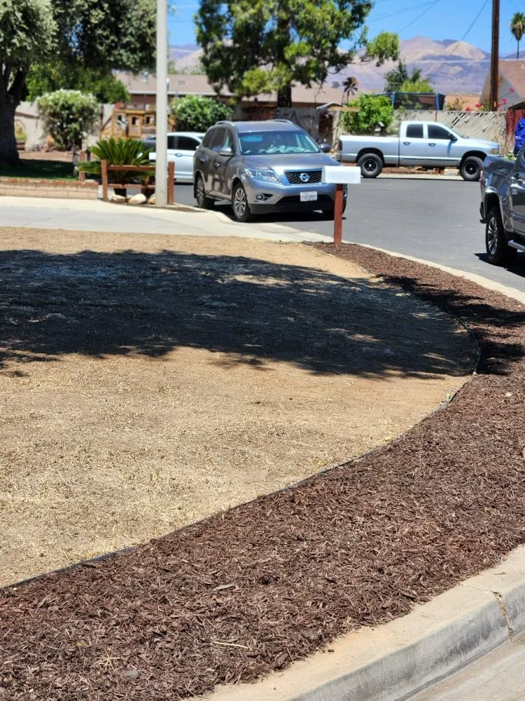 Local residential landscaping experts serving Hemet, CA - Better Every Day Landscaping